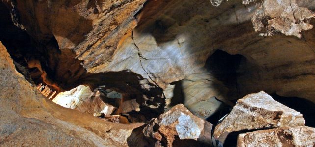 Chýnovská jeskyně, unikátní zimoviště netopýrů