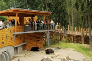 Zoo Olomouc - výběh medvědů a vlků