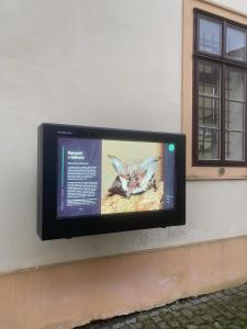 Nový interaktivní panel obsahující informace o netopýrech