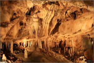 Javoříčské jeskyně jsou známé svou bohatou krápníkovou výzdobou