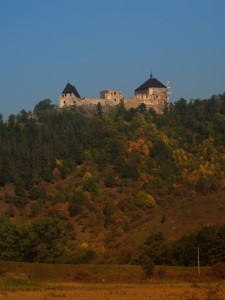 Dominantou hradu jsou dva částečně zachovalé paláce